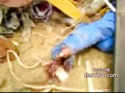 Construction Worker Cut in Half by Crane