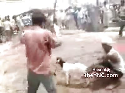 WTMF!! Crazy Fucks Behead Goats on the Street and Love Every Second of it