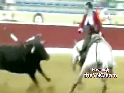 Bull OWNS the Fuck out of Dumb Lady Matador Crushes Her Head