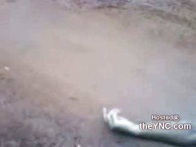 Follow the Trail...Ambulance Driver Runs over and Kills 2 Females and their Was Lucky Male Friend