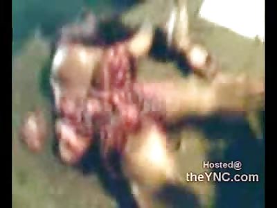 Im not Sure...Male or Female a Pile of Body Parts left in the Road...No ONe knows What to Do with It