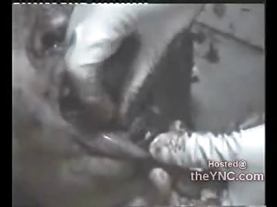 SHOCKING: Man Beaten to Death with Hammer has his Fragmented Face Played with and Laughed at by Medical Examiners (Police Video 2 of Hammer Serial Killer)