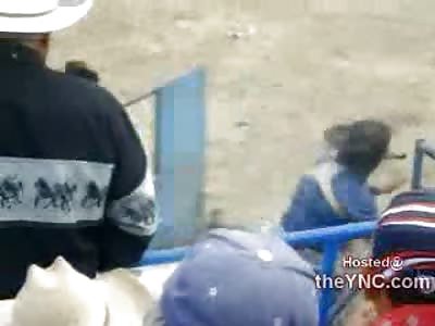 Cowboy Knocked Unconscious is Killed by Angry Bull