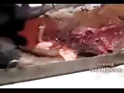 Popped Head: Shirtless Man carrying Garbage Bag Head Exploded and Ripped Off by Truck