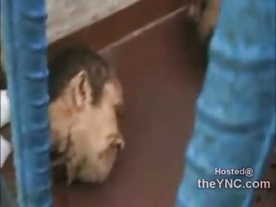 Inmates Beheaded in Brazilian Prison Riot (Feb 2011)