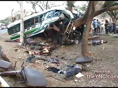 First on Scene of Brutal Bus vs Tree where Dozens Lie Dead in the Dirt