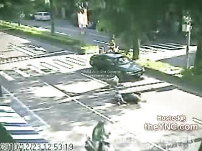 Like a Human in the Headlights, Moron stops in the Middle of the Road