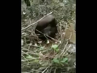 SPECIAL UPDATE: Savages in West Africa Brutally Beat a Man with Stones for Stealing a Piece of Meat