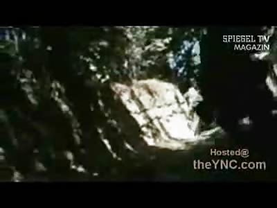 US Soliders Video Showing them Taken Out Scum Bag Taliban Pukes