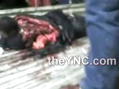 Ugh...Policeman Dragged to Death on the Road has the Worst Case of Road Rash Ever...