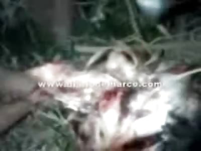 SHOCKING: Part # 2: Beheaded and Dismembered by Blonde Girl Man is Now Skinned