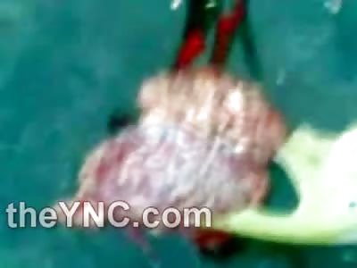 Man wearing Face Protector has his Entire Brain on the Street, Dead Wife and Daughter on the Road too...