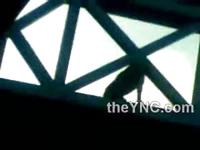 Dog Overwhelmed with his Life Refuses to be Rescued and makes an Attempt at Suicide