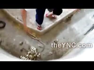 This Man without a Doubt has the World's Most Dangerous Job