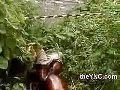 It Smells: An Advanced State of Decomposition