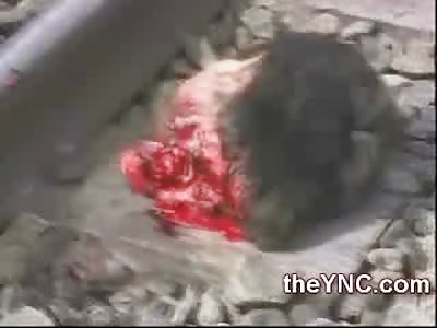 Young Boy Caught up in the Train Wheels in a Gruesome Suicide (Watch Full Video)