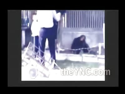 SAD: Poor Old Russian Man that Can Barley Walk has to Pick His Drunk Wife off The Neighbors Yard and Wheel barrel Her Home