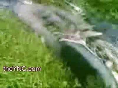 Brutal Never Ending Beheading of Man shows Shots being Fired at Men as they Continue (Watch Full Video, Quality is Original