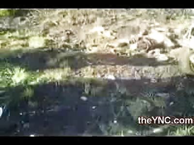 Man Ejected from Car Split Face Super Hero