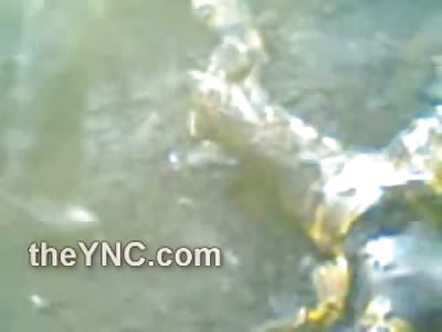 Horrific Accident Leaves Them Fried to a Crisp....Whats with that Arrow?