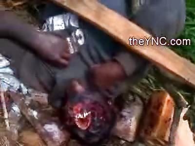 Man's Face Eaten off by Dogs and other Various forms of Wildlife, after he was Murdered