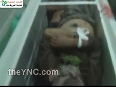 Dead Bodies Uncovered in a Freezer