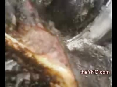 Cameraman goes almost into Burning Mans Mouth as Him and his Family is still Smoldering