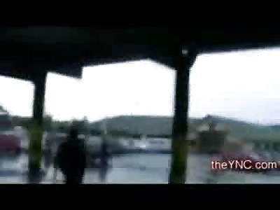 Criminal Cries for his MOTHER after they let the Police K-9 get at Him