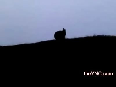 Just One of the STUPIDEST People Ive ever Seen on the Internet