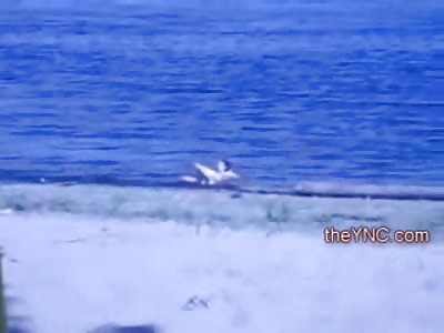 Wasted Woman cant Even Drag Herself out of the Beach Water. 