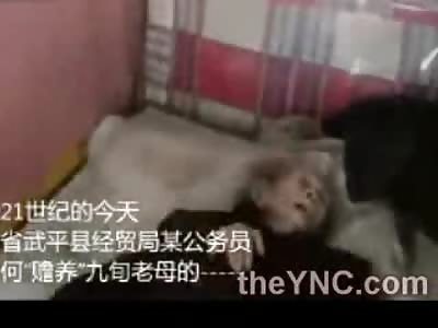 HORRIBLE TORTURE: Son Tortured his Elderly Mother in China by Starving Her to Near Death