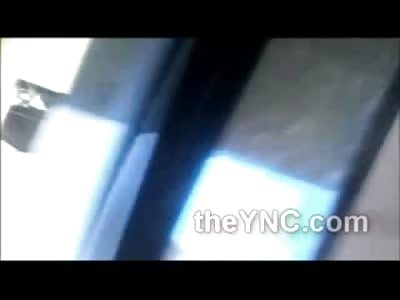 Woman Brutalizes and Beats Dog that Eventually Died  in front of Little Girl