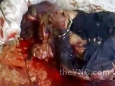 Man Literally Cut in Half.....Internal Organs Pouring out on Floor