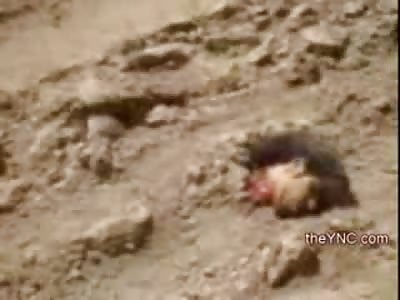 Man Ejected from his Vehicle is Clean Decapitated in the Dirt