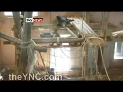 AMAZING: Laboratory Chimpanzees See Sunlight for the Very First Time....Amazing Video 