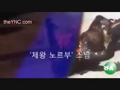 Short Video of Tibetan Monk Twitching from Suicide by Fire