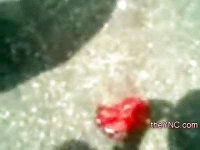 Half Naked Woman with a Nice Sun Hat has her Brains out and her Boobs (Cell Phone Quality)