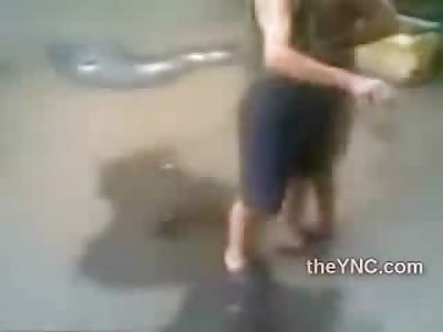 Out of Control Maniac Beats his Wife until someonne puts an End to It