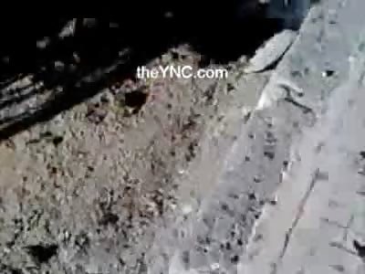 Bodies or I should say 