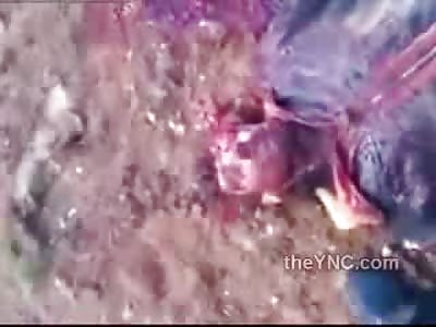 Arab Bodies Shot to Hell