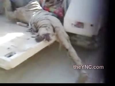 Humiliating body of a Dead Solider with a Missing Leg