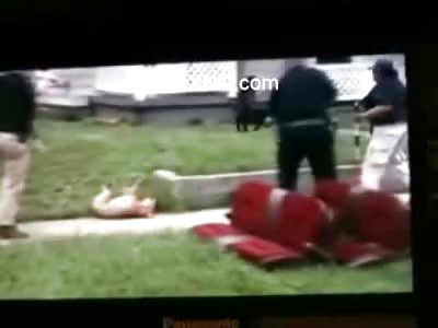 Pitbull Executed with Quick Shot by Police Officer as he Attacks Animal Control Guy  (watch Slow Motion)