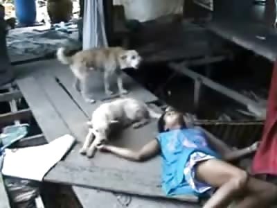 Not only a Mans Best Friend.....Loyal Dogs watch over their Deceased Female Owner