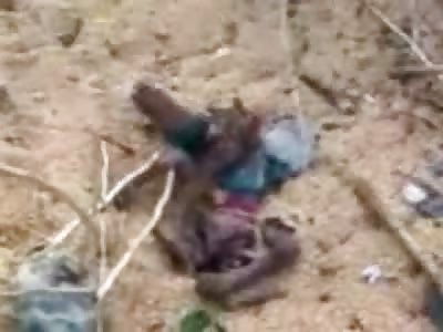 Death by Corn...2 Teens Crushed to Death by a Truck Full of...Corn Kernels