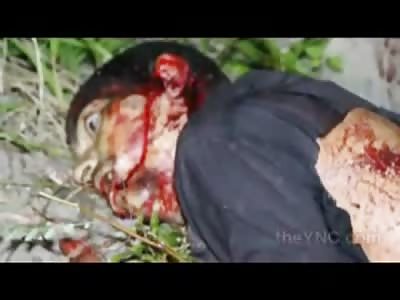 Mans Eyes Tell the Story.....Caught by Surprised and Shot Dead