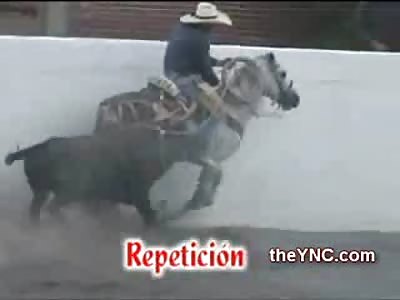 SAD: Bull Gores Horse breaks Both the Bulls Legs....Then both Animals Slaughtered by Crowd...WTMF?!?!?
