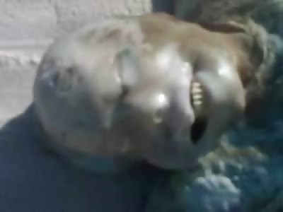 Smiling Jack Nicholson Look Alike Washed up on the Beach