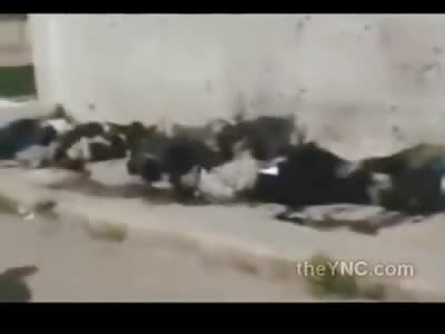 Residents Walk by and Film the Aftermath of Mass Executions 