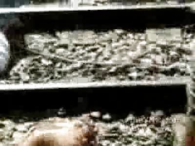 Train Horror: Man Dismembered from Train Accident