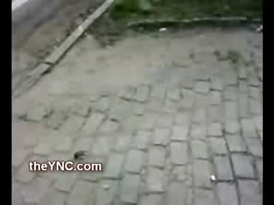 Girl and Boyfriend Crushed on Road after Horrific Accident